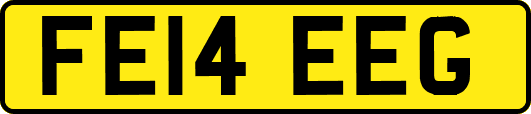 FE14EEG