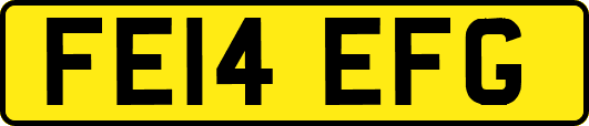 FE14EFG