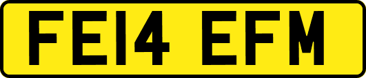 FE14EFM