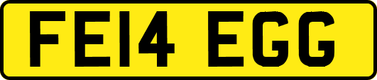 FE14EGG