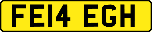 FE14EGH