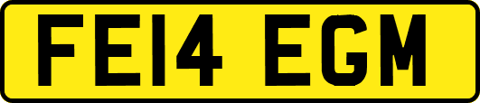 FE14EGM