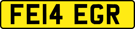 FE14EGR