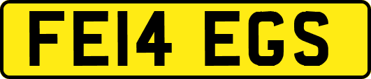FE14EGS