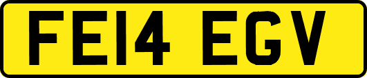 FE14EGV