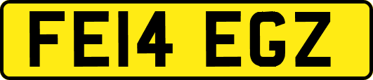 FE14EGZ