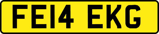 FE14EKG