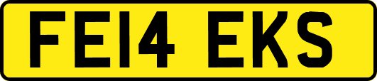 FE14EKS
