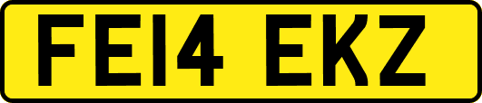 FE14EKZ