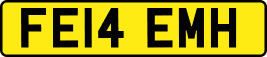 FE14EMH