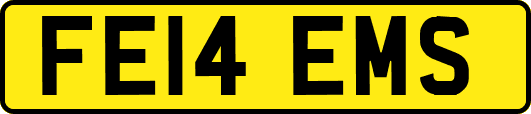FE14EMS