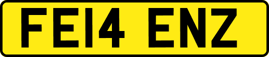 FE14ENZ