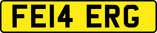 FE14ERG