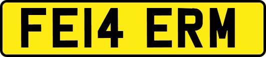FE14ERM
