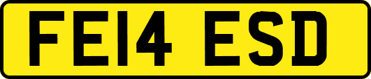 FE14ESD
