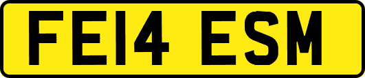 FE14ESM