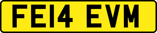 FE14EVM