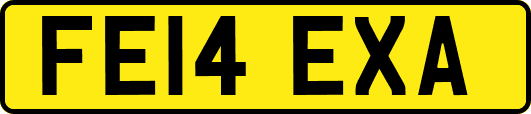 FE14EXA