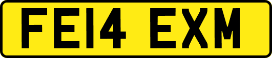 FE14EXM