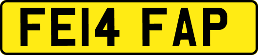 FE14FAP