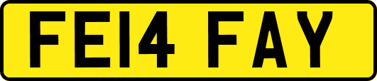 FE14FAY
