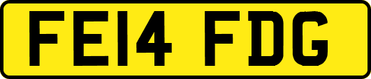 FE14FDG