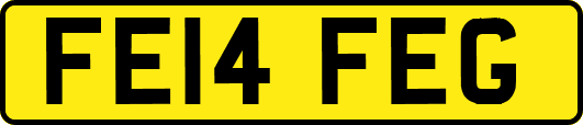 FE14FEG