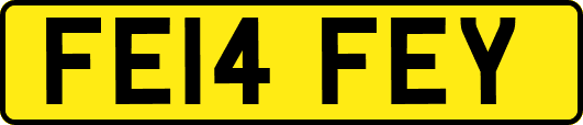 FE14FEY