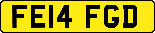 FE14FGD