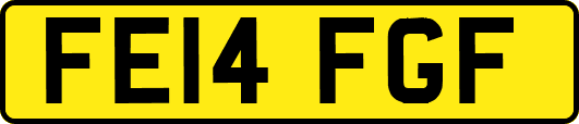 FE14FGF