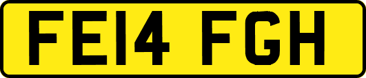 FE14FGH
