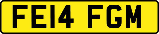 FE14FGM