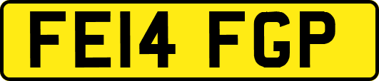 FE14FGP