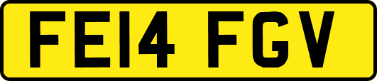 FE14FGV