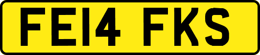 FE14FKS