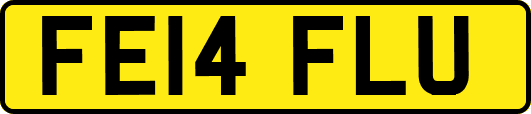 FE14FLU