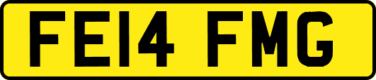 FE14FMG