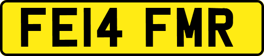 FE14FMR
