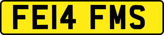 FE14FMS