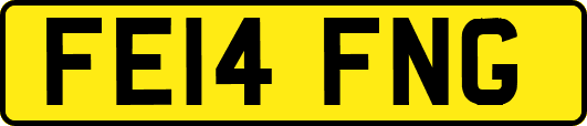 FE14FNG