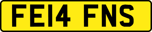 FE14FNS