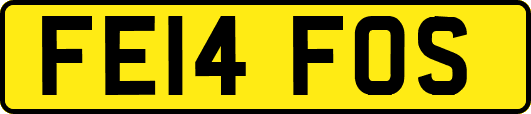 FE14FOS