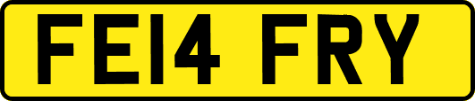FE14FRY