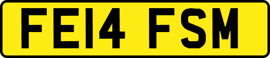 FE14FSM