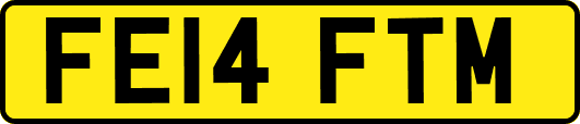 FE14FTM