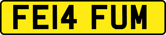 FE14FUM