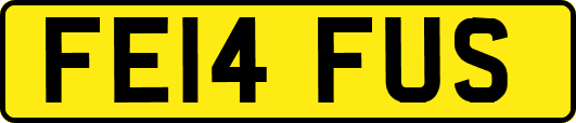 FE14FUS