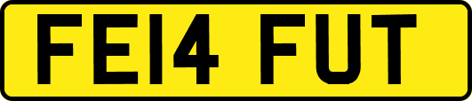 FE14FUT