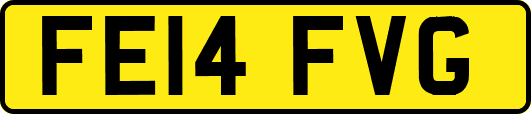 FE14FVG