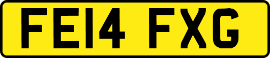 FE14FXG